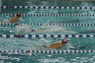 开云官方网-中国游泳运动员世锦赛接力项目表现抢眼，中国游泳接力夺金